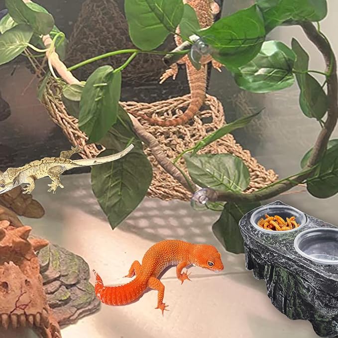PINVNBY Reptile Feeding Ledge with Suction Cups,Crested Gecko Feeder Ledges with 2 Pcs Water & Food Bowls Double Lizard Dish Bearded Dragon Tank Accessories for Geckos Chameleon Spider Snake