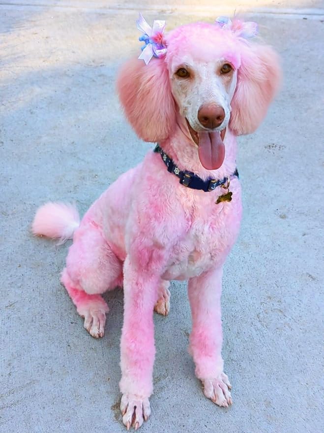 Crazy Liberty Magic Color Shampoos (Pink) - Semi-Permanent Pet Hair Coloring, Safe and Gentle Ammonia and Paraben Free, Non-Toxic for All Pets