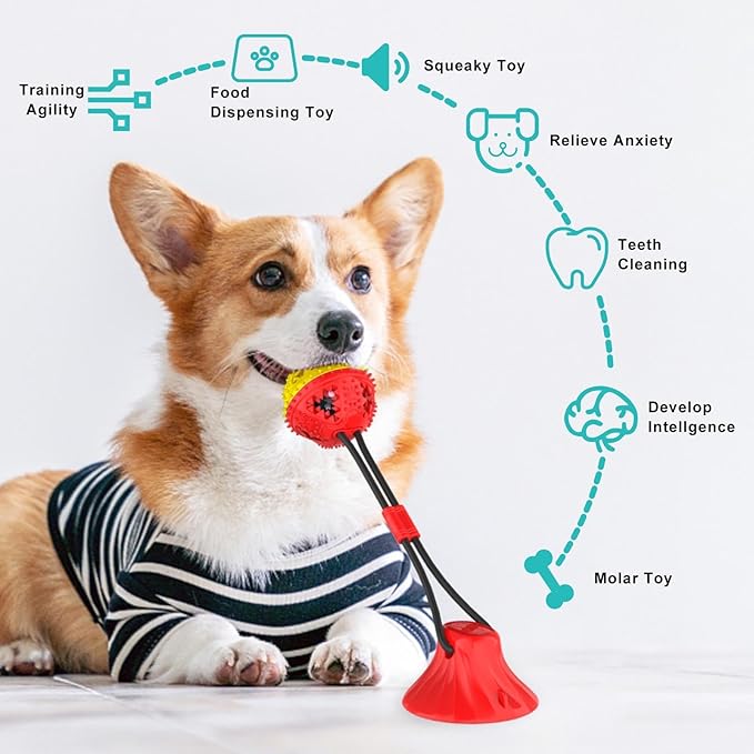 Jenilily Dog Toys Chew for Small Medium Chewers Rope Ball Suction Cup Tug of War Game Puppy Training Teething Boredom Pet Toy Not for Wooden Floor
