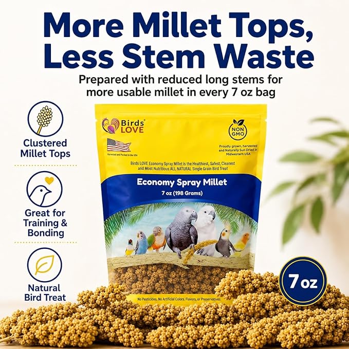 Birds LOVE Economy Special Spray Millet GMO-Free (No Stems Only Edible Tops) for Birds Cockatiel Lovebird Parakeet Finch Canary All Parrots Healthy Treat - 7oz