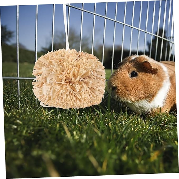 Luxshiny 2Pcs Natural Chew Balls for Small Pets Guinea Pig Plaything Rabbit Molar for Teeth Grinding and Cleaning Safe Corn Leaf Material Suitable for Hamster Bunny Chinchilla Teeth Care