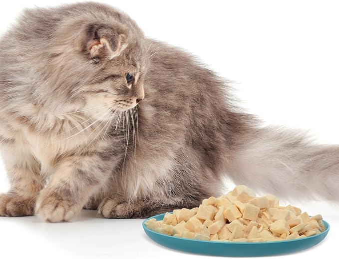 16 Pcs Fatigue Relief Cat Bowl, 5.8 Inch Shallow and Wide Pet Water and Food Dishes Kitten Wheat Straw Wet Feeding Bowl for Indoor Cat Stray Kitten Ferrets