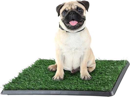 Artificial Grass Puppy Pad with Tray 16x20 inch | Reusable Indoor & Outdoor Dog Potty Training Mat System | Washable Fake Grass Pet Housebreaking Pad for Puppies & Small to Medium Dogs by PETMAKER