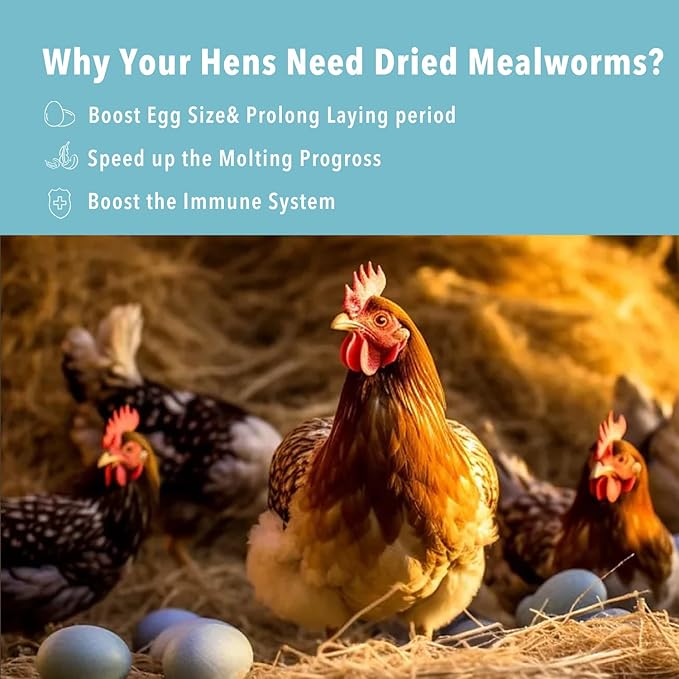 WormsFarm 11lb Dried Mealworms for Chickens Snacks for Birds Bulk-Treats for Laying Hens(11 Pound)