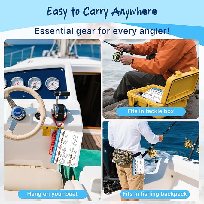OCQOTAT Florida Saltwater Fish& Shark Identification Set–4 Double-Sided Waterproof Quick-Reference Fishing Guide Cards with FWC Rules,Size Limits&80+ Fish&Sharks in Real Photos| Ring Binding,8.2x6inch