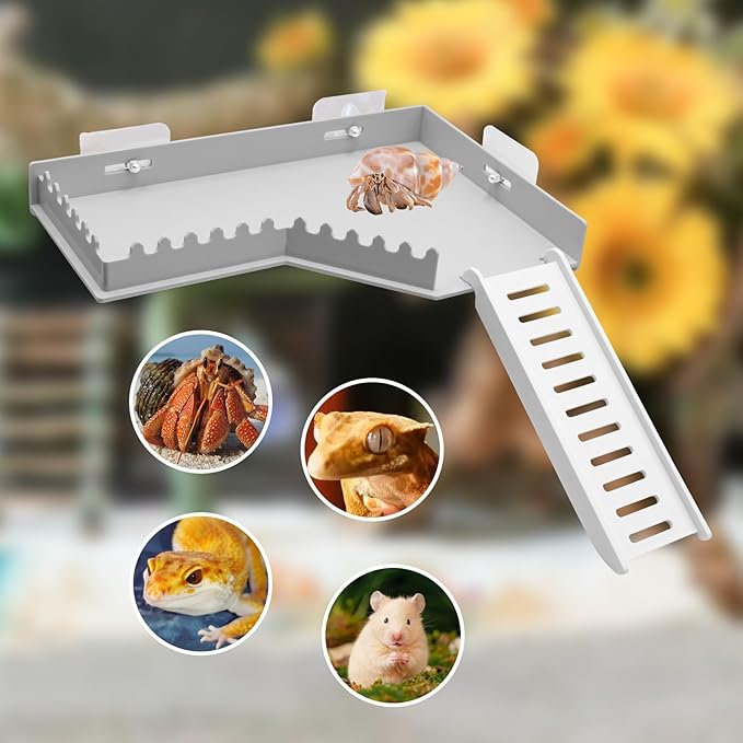 No-Drill Climbing Platform with Ramp, Hermit Crab Climbing Wall & Hideout, Multi-Level Platform with Ladder, No-Tools Mounting for Geckos, Small Lizards, Hamsters, Grey