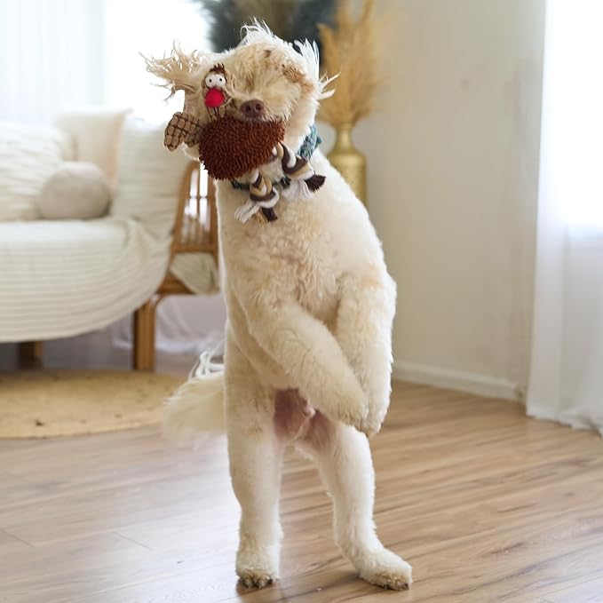 SPOT Gigglers Chicken Dog Toy with Giggle Sound, Textured Plush Tug Toy with Rope Legs, 12" for Small and Medium Dog Breeds