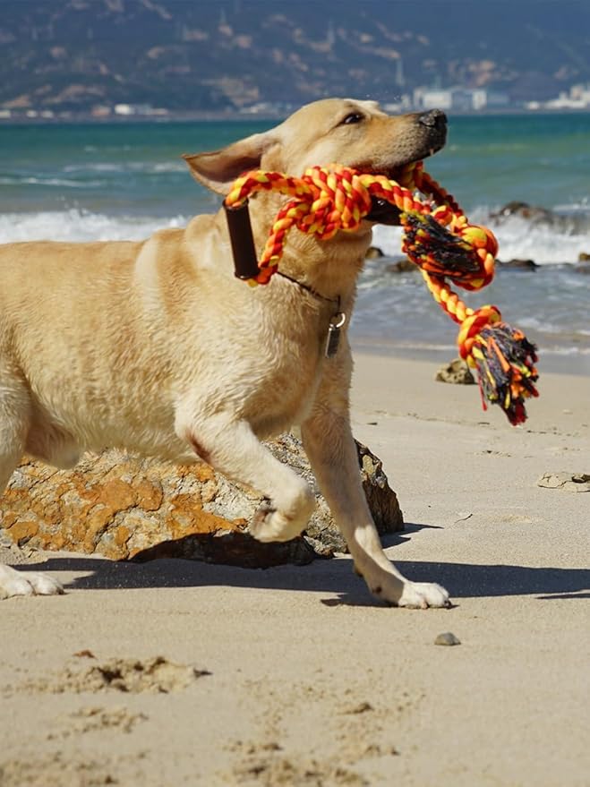 Large Dog Rope Toys for Aggressive Chewers Pitbull Tug of War Interactive Heavy Duty Outdoor Medium Large Breed XL Dog Chew Rope Strong Durable Dog Tug Toys Tough Pull Rope with Handle