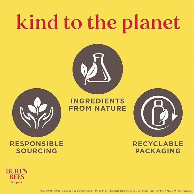 Burt's Bees for Pets Itch Soothing Dog Shampoo with Honeysuckle, 95% Natural Origin, pH Balanced, No Sulfates, Parabens, or Phthalates, Relieves Itchy Skin, 32 Fl Oz - 2 Pack