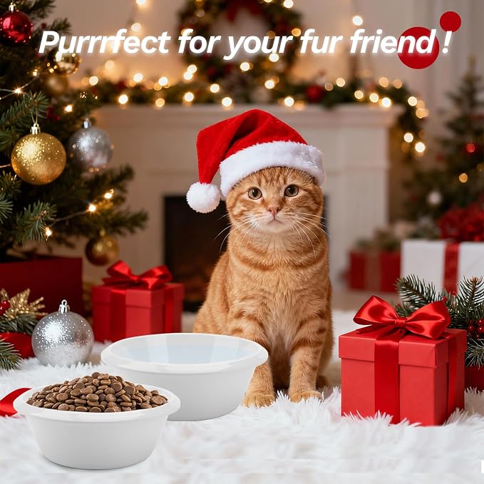 2PCS Cat Bowls Pet Feeding Dish 6.3 Inch, Wide Pet Bowl Pet Feeding Bowl for Indoor Cats, Replacement Food and Water Bowl, Wide Shallow Feeder Bowls for Kitten, Puppy, Rabbit (White)