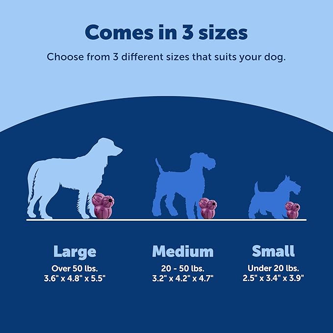 PetSafe Busy Buddy Barnacle, Large