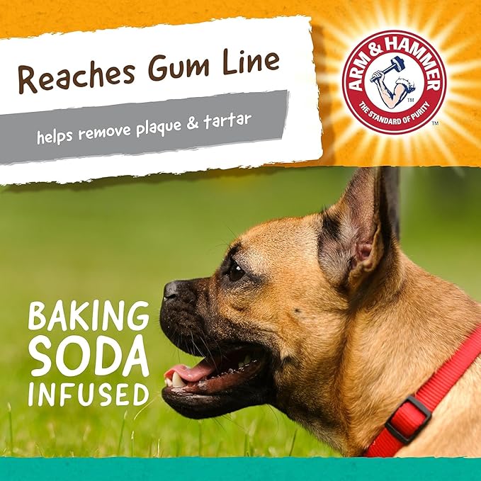 Arm and Hammer for Pets Super Treadz Gorilla Dental Chew Toy for Dogs - Reduces Plaque and Tartar Without Brushing, Baking Soda Infused, Dishwasher Safe, Dogs Up to 35 Lbs - 3 Pack