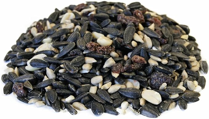 Backyard Seeds Berries 'n Nut Blend Bird Seed Mix 20lbs - Premium Seeds, Nuts & Cranberries, Medium Bag of Wild Bird Food