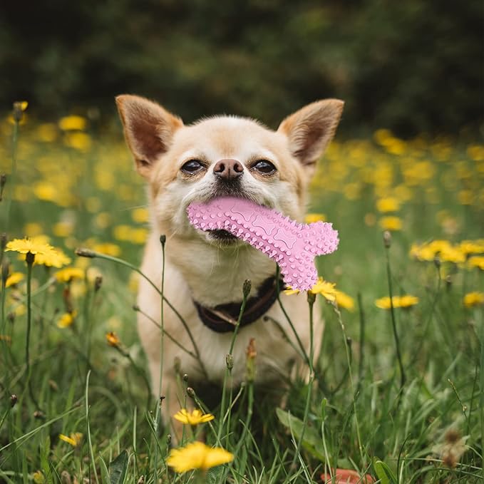 6 Pack Puppy Toys for Teething Small Dogs, Cute Pink Dog Chew Toys for Puppies, Soft Squeaky Dog Toys for Small Breed Cleaning Doggy Teeth, Outdoor Interactive Small Dog Chew Toys Set
