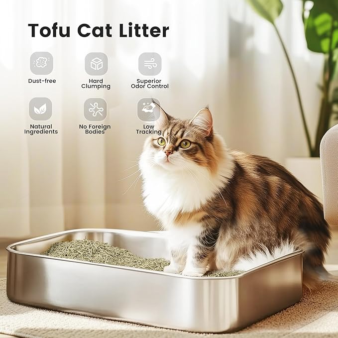 Gardner Pet Natural Tofu Cat Litter, 36LBS Cat Litter with Green Tea Extract – Dust-Free, Fast Clumping, and Odor Control for Multi-Cat Homes/6lbs x 6 Pack