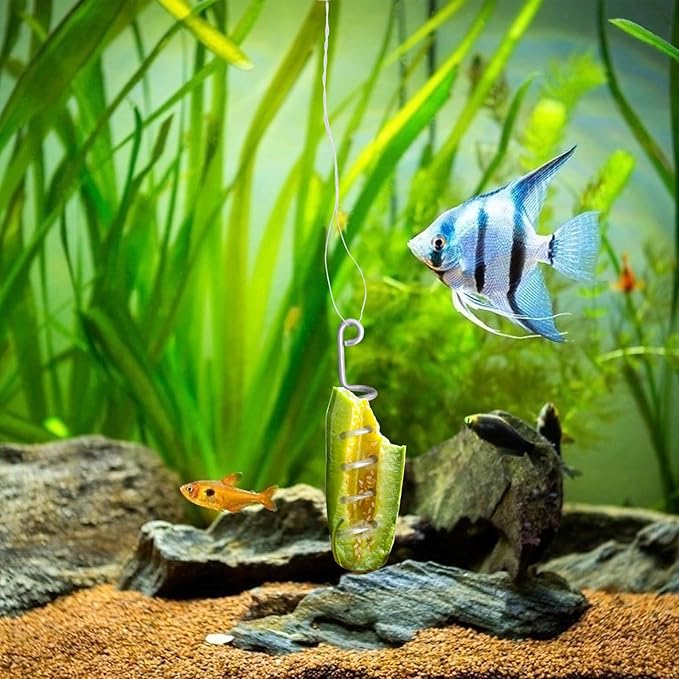 Fish Tank Aquarium Vegetarian Feeder, Aquarium Stainless Steel Sinking/Hanging/Benthic Fish/Loach/Malawi Cichlid/Snail Feeder with Suction Cup and Recycling Line