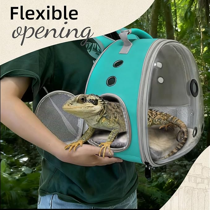 Bearded Dragon Travel Backpack Carrier with Reptile Thermometer and Humidity Gauge Lizard Travel Cage Space Capsule Clear Bubble Window Astronaut Reptile Bag for Ball Python (Green, Backpack+I LSH)