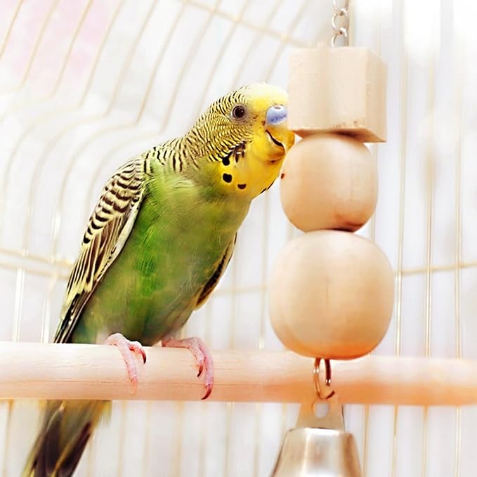 5PCS Parakeet Perches Wooden Bird Perches Bird-Perches for Cage Wood Perch with Different Widths Bird-Cage Toys Birds Cage Accessories for Macaws, Small Parakeets, Conures, Budgies, Finches