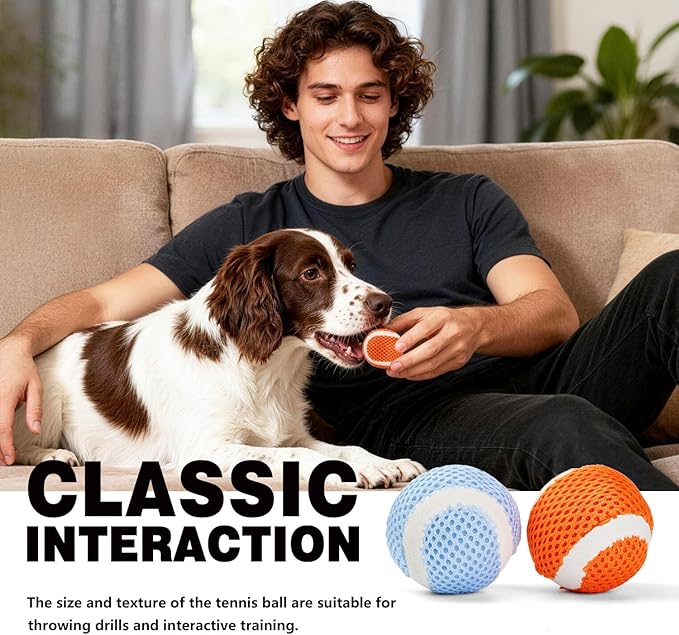 MECOOL Tennis Balls for Dogs 2.0in 20PCS Fetch Interactive Dog Balls Durable Toys for Cleaning Teeth Indoor/Outdoor Playing for Small and Middle Dogs(Blue and Orange)