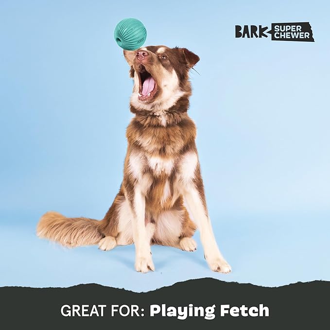 Barkbox Sea Foam Reef Ball Treat Dispensing Toy for Large Dogs, Perfect for Fun-Filled Stimulation and Interactive Playtime
