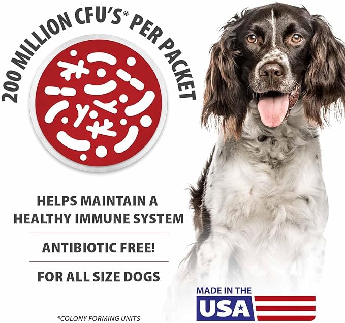 Jeffers Belly Buddy Dog Probiotic Powder Packets, 30 Count - Veterinary Formulated, Four Probiotic Strains & Vitamins for Gut Health, Diarrhea & Digestive Balance, Chicken Liver Flavor, USA Made