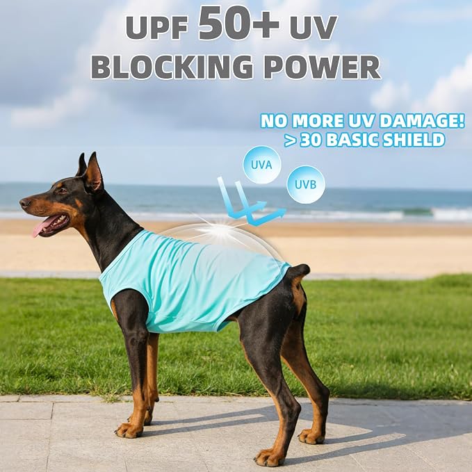 KOOLTAIL Cooling Sunblock Dog Clothes for Large Dogs, 2 Pack UPF50+ UV & Insect Protection Quick Dry Dog T Shirts for Outdoor, Anti-Hair Loss Breathable Sleeveless Pet Vest Tank Tops, Blue&Green, XXL