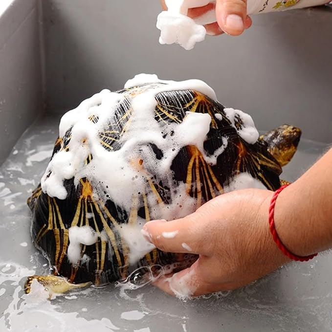 Reptile Cleaner - Turtle Habitat Cleaning Product, Turtle Care Shell Treatmeent | Reptile Shell Spray 120ml Tortoise Cleaner Safe Tortoise with Soft Brush Head for Easy Cleaning