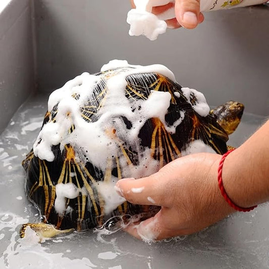 Reptile Cleaner - Turtle Habitat Cleaning Product, Turtle Care Shell Treatmeent | Reptile Shell Spray 120ml Tortoise Cleaner Safe Tortoise with Soft Brush Head for Easy Cleaning
