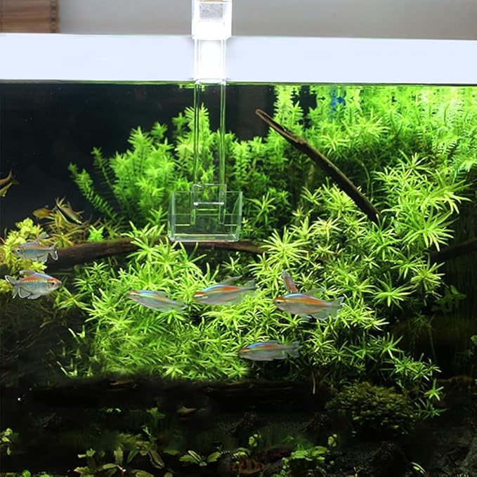Shrimp Fish Feeding Dish - Sky Restaurant - Betta & Aquarium Feeder - Prevents Spills, Easy Clean Up, Suitable for African Cichlids & Dwarf Frogs