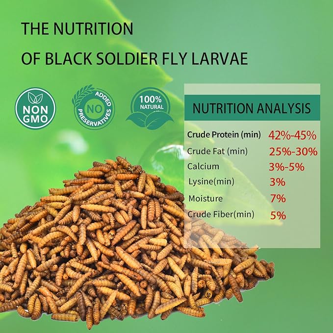 Dried Black Soldier Fly Larvae 5LB-Pure Natural Non-GMO BSF Larvae for Chickens-More Calcium Than Mealworms High-Protein Chickens Treats for Layer Hens Wild Birds Ducks