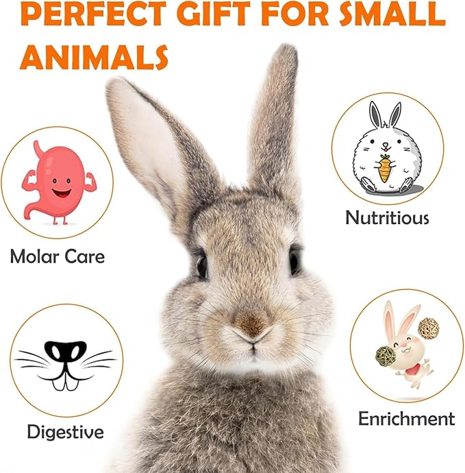 Sofier 20Pcs Timothy Hay Treats - Natural Chews for Teeth - Handmade Rabbit, Chinchilla, Gerbil, Rat, Hamster Toys - Bunny & Guinea Pig