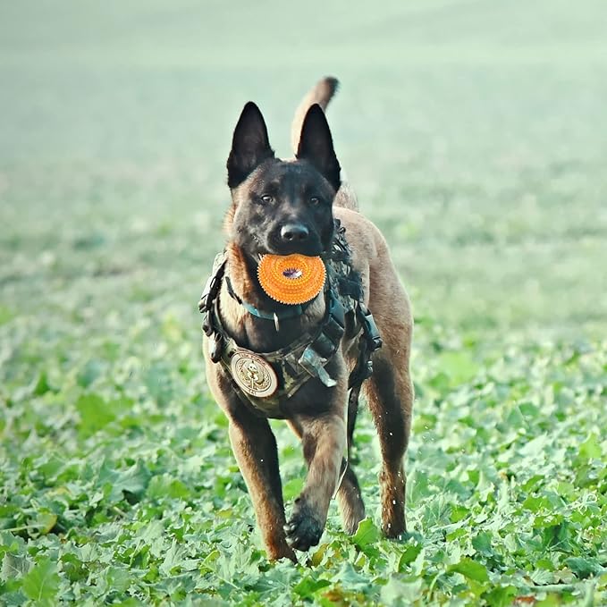 Andiker Squeaky Dog Toy, TPR Chewable Dog Toys for Teeth Grinding&Cleaning Dogs Fetch Toys for Enhancing Interactivity Outdoor Suitable for All Dog Sizes Puppy’s Gifts and Dog Lovers (Small Orange)