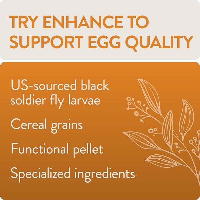 FLOCKLEADER Enhance, Functional Poultry Treats for Egg Production & Quality, 1.5 lb (Pack of 2)