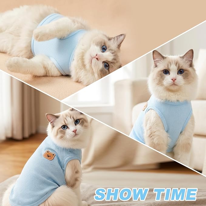Waffle Knit Cat & Dog T Shirt for Small Dogs, Stretchable Puppy Shirt for Sphynx Cats & Small Breeds, Pet Clothes | Breathable Summer/Winter Apparel for Newborn(Blue 2X-Large)