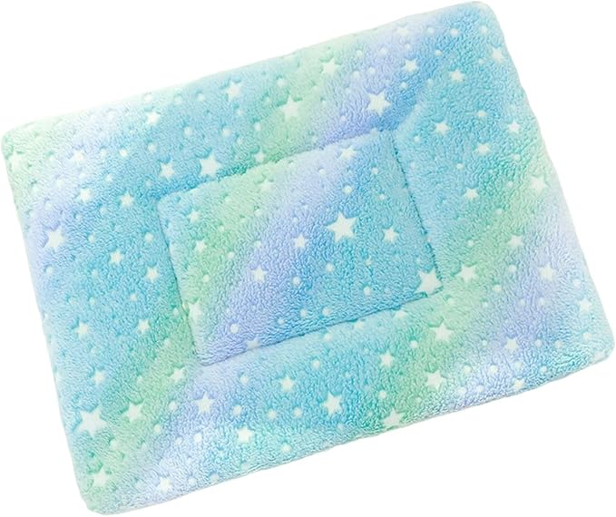 Double Sided Plush Small Animal Bed, Washable Guinea Pig Bunny Bedding, Reversible Flannel Mat for Hamster Ferret Rabbit Cat Dog, Cozy Fleece Cage Liner Pad (Blue Aurora)