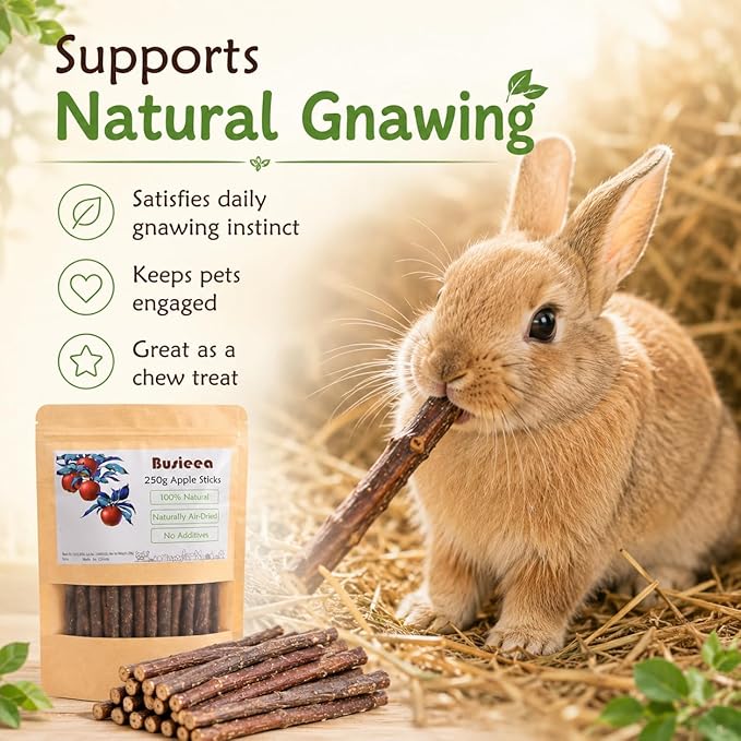 Premium Natural Apple Sticks - 250g/8.82 OZ Molar Chew Treats for Rabbits Chinchillas Guinea Pigs Hamsters Small Animals