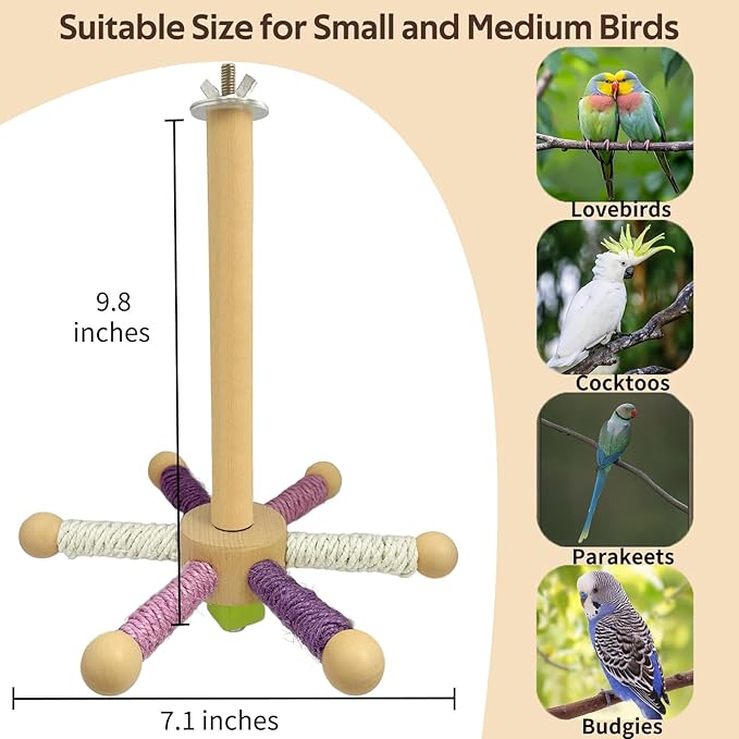 Bird Cage Accessories