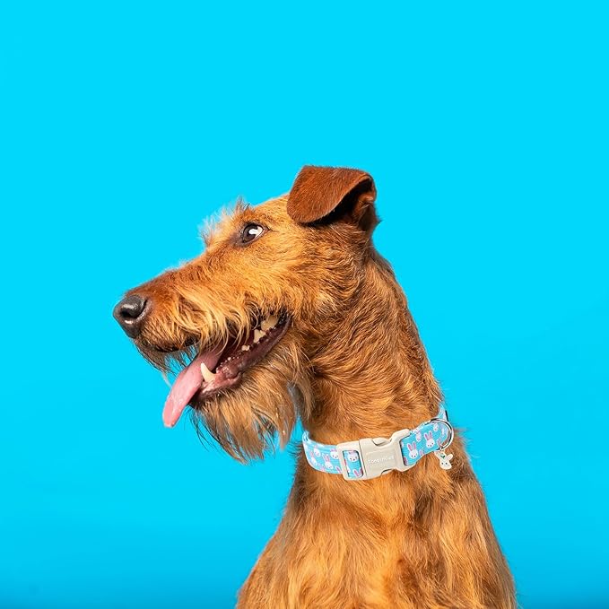 Lionet Paws Easter Dog Collar- Cute Bunny Blue Dog Collars with Plastic Buckle, Light Adjustable Dogs Collars with Rabbit Pendant for Small Dogs