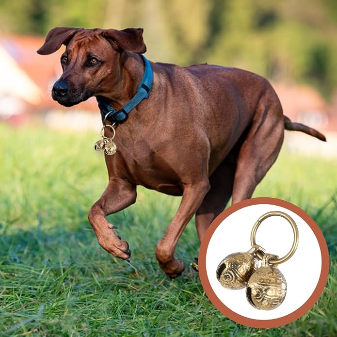 Styquenzer Copper Bell for Dog Collar, 4 PCS Brass Dog Bells Extra Loud Collar Bell for Pet Tracking Anti Lost Training Pets Pendant Accessories Anti Theft Bells for Little Dogs & Cats