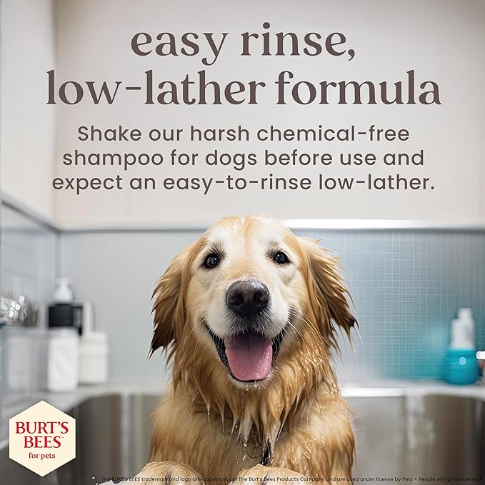 Burt's Bees for Pets Manuka Honey Tearless 2-in-1 Dog Shampoo and Conditioner, with Jojoba Oil, 95% Natural Origin, Free of Sulfates, Milk and Honey Scent, 16 Fl Oz