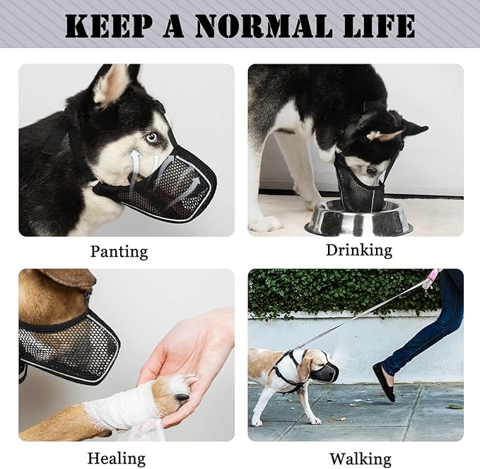 Mayerzon Dog Muzzle, Patented Mesh Soft Muzzles for Large Medium Small Dogs Poodle Husky Doberman Labrador Retriever for Scavenging Grooming Biting Chewing, Breathable Reflective Mussel with Collar