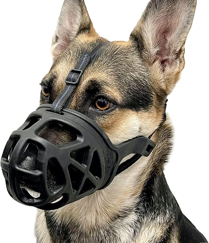 BARKLESS Dog Muzzle, Basket Muzzle for Biting, Chewing and Scavenging, Humane Cage Mouth Cover, Perfect for Grooming and Training Medium Aggressive Reactive Dogs (M, Black)