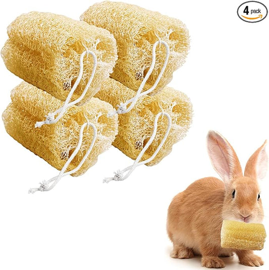 4 Pcs Rabbit Chew Toys Natural Bunny Loofah Chew Toy Chinchilla Teeth Grinding Toys Guinea Pig Fibre-Rich Treats Enrichment Bunny Accessories for Rabbits Hamster (L)
