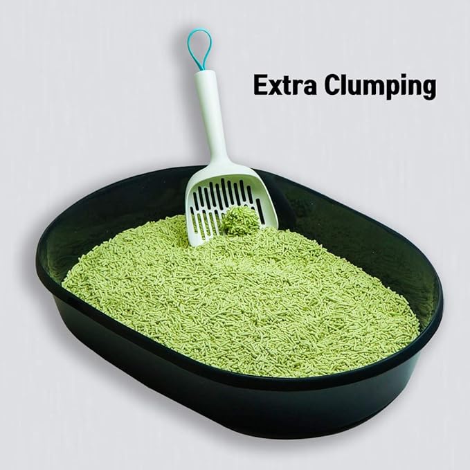 I AM TOFU - Natural Flushable Tofu Cat Litter, Low Dust Lightweight Clumping Litter, Odor Control (10 LBS, Green Tea)