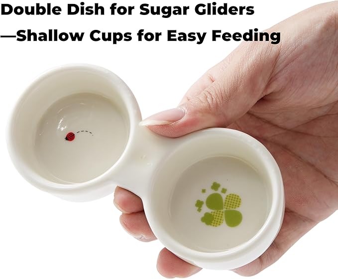 Sugar Glider Food and Water Bowl – Ceramic Shallow Double Dish, Stable Platform Feeder for Nectar & Soft Foods, Small Animal Cups for Sugar Gliders, Hamsters, Hedgehogs, Gerbils, Chipmunks