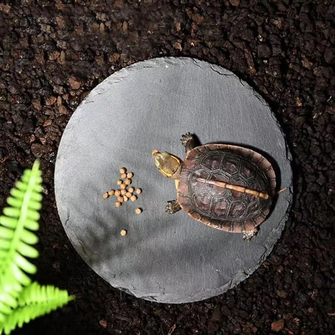 Reptile Basking Platform Rock Tortoise Habitat Slate Rock for Reptiles Food Dish Landscape Habitat Decor Accessories for Crested Gecko Lizard Bearded Dragon Turtle