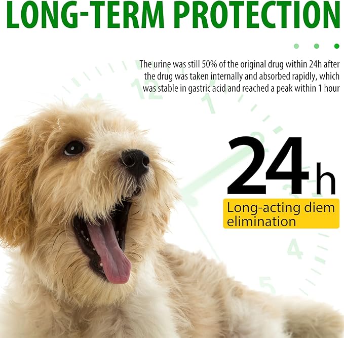 Dog Antibiotics Antibiotics for Dogs Dog Eye Infection Treatment Dog Cough Treatment Dog Cough Treatment 4.04fl.oz(120ml)