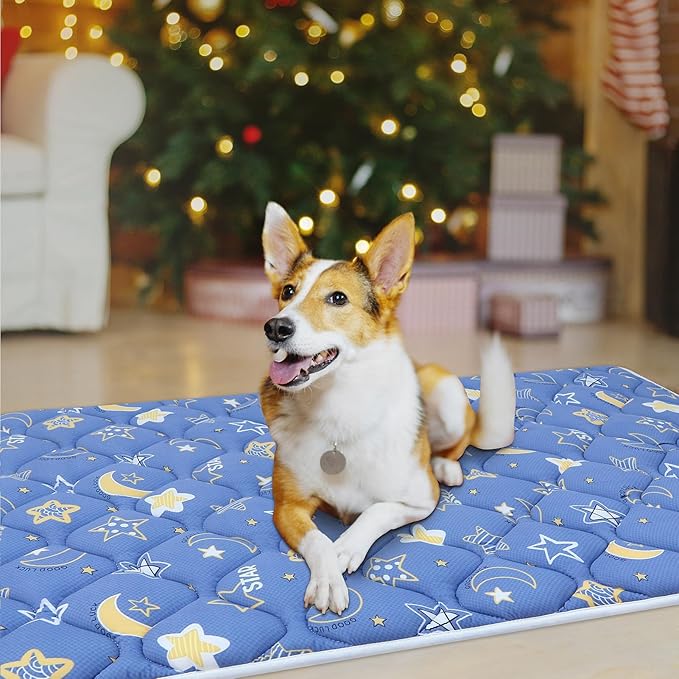 Bubble bear Dog Crate Mat - Ultra Soft, Washable & Anti-Slip Kennel Pad for Small/Medium/Large Dogs, Dark-Hued to Hide Stains (59"x35")