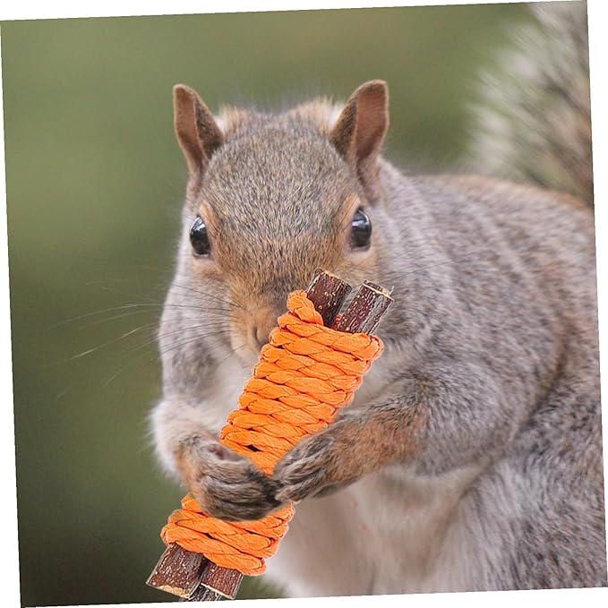 Totority Bunny Teeth Cleaning Chew for Small Pets Indoor Hamster and Rabbit Dental Care Fun Kit for Healthy Teeth and Play
