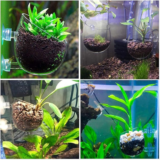 capetsma 4X Crystal Glass Aquarium Plant Pot, Aquarium Aquatic Planter, Red Shrimp Live Plants Fish Tank Glass Holder with 4X Suction Cups for Aquarium Fish Tank Decorations … (4 Pack)…